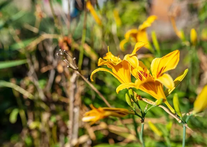 Haus Guenter Und Valeria *